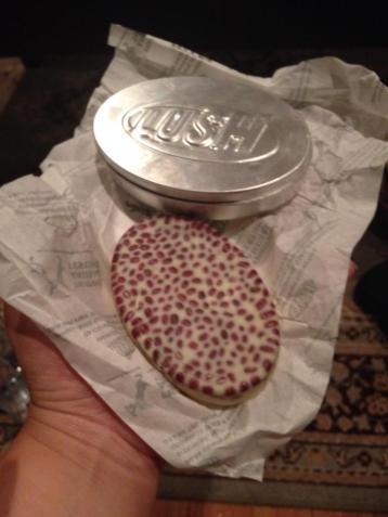 10959629_10152738053141843_7016266717117070120_n (1)